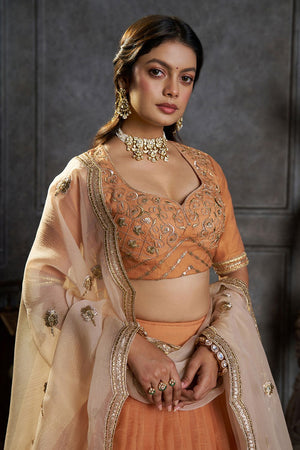 Rust Embroidered Organza Lehenga (ACB2486)