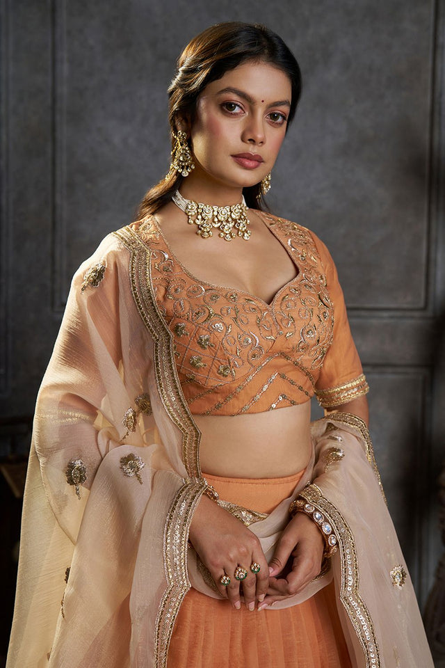 Rust Embroidered Organza Lehenga (ACB2486)