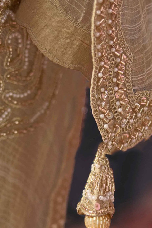 Brown Beads & Stone Work Linen Saree (ACB2623)