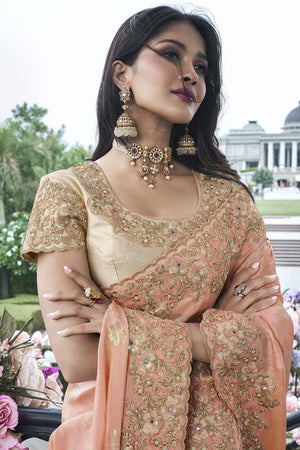 Pink Tissue Silk Embroidered Saree