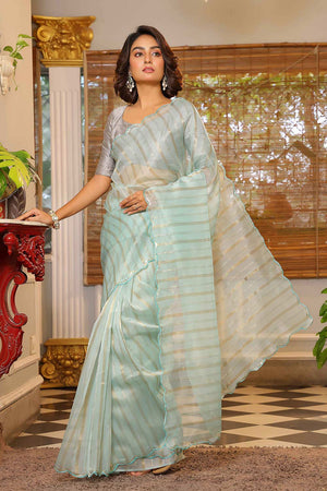 Turquoise Embroidered Organza Saree