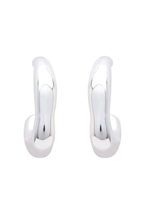 Silver Alloy Earrings