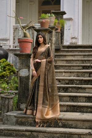 Black Woven Art Silk Saree (Eth_SR_77)