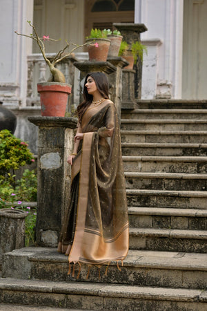 Black Woven Art Silk Saree (Eth_SR_77)