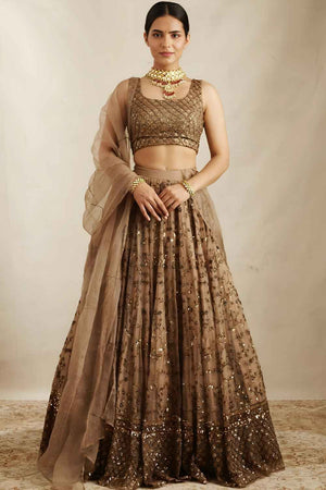 Brown Sequins with Embroidered Net Lehenga