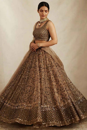 Brown Sequins with Embroidered Net Lehenga
