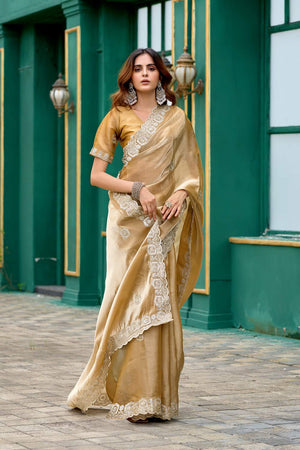 Beige Floral Embroidered Chiffon Saree (HT1801)