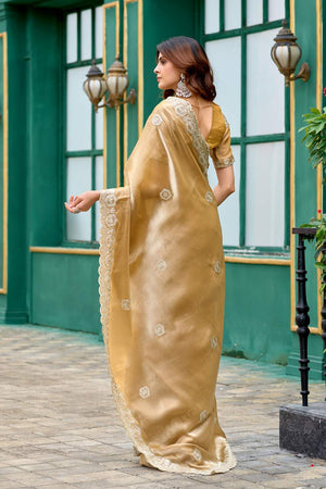 Beige Floral Embroidered Chiffon Saree (HT1801)