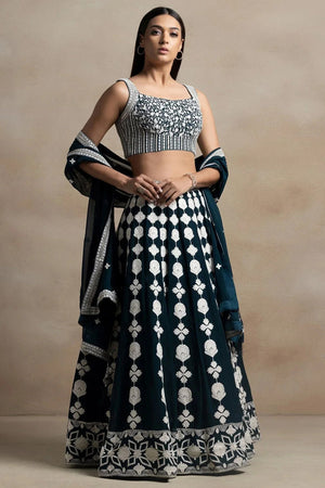Green Embroidered Net Lehenga