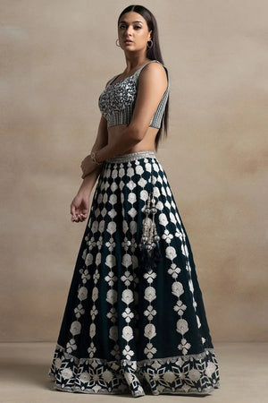 Green Embroidered Net Lehenga