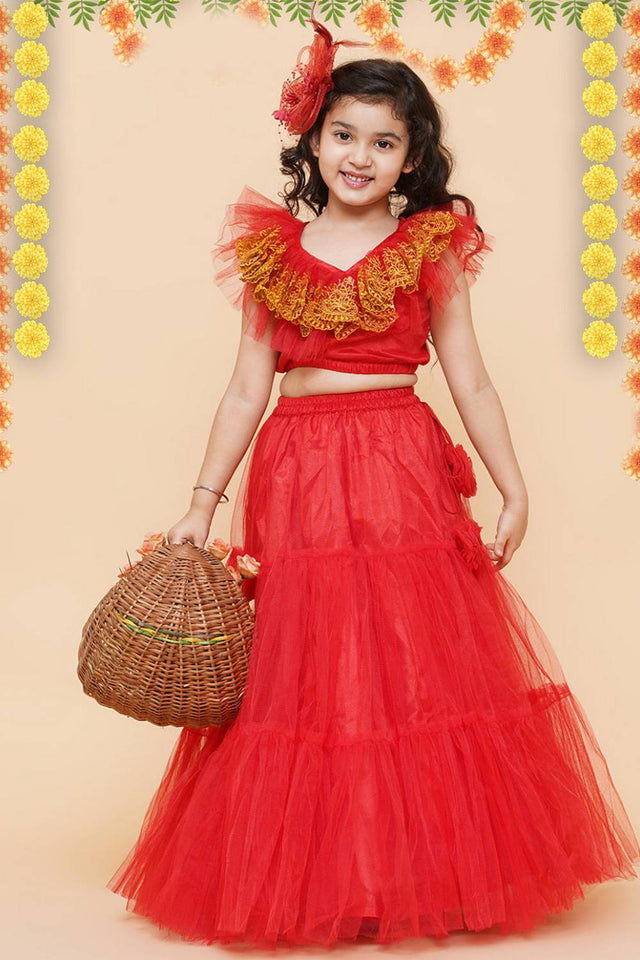 Girl's Red Embroidered Net Lehenga