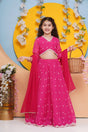 Girl's Pink Embroidered Silk Lehenga