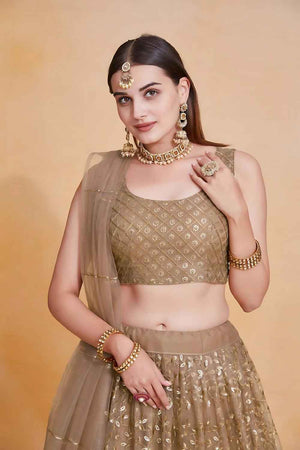 Brown Embroidered Net Lehenga