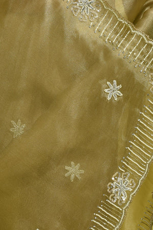 Green Beads & Stone Embossed Tissue Saree (RDIGGZ6C3842)
