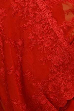 Red Floral Embroidered Georgette Saree (RSGRRM6C3778)