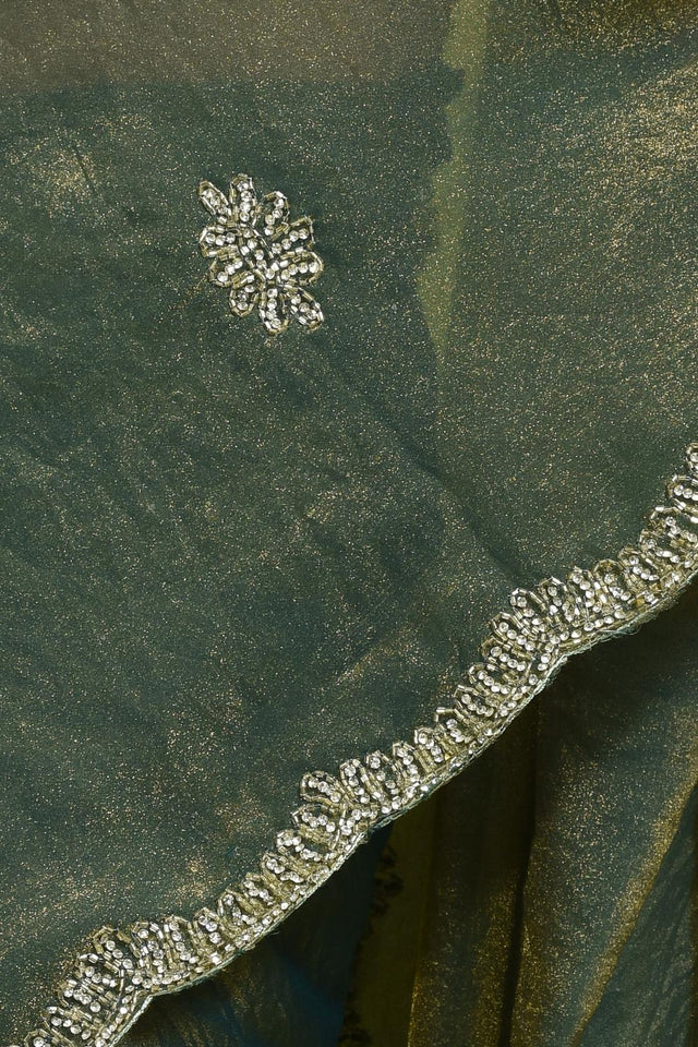 Green Beads & Stone Embossed Tissue Saree (RWIGGS6C3774)