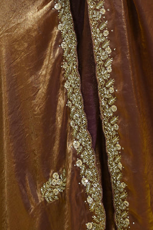 Brown Floral Embroidered Satin Saree (RWTNNW6B3727)