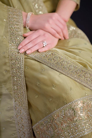 Beige Floral Embroidered Organza Kurti Pant Set