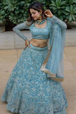 Blue Embroidered Net Lehenga