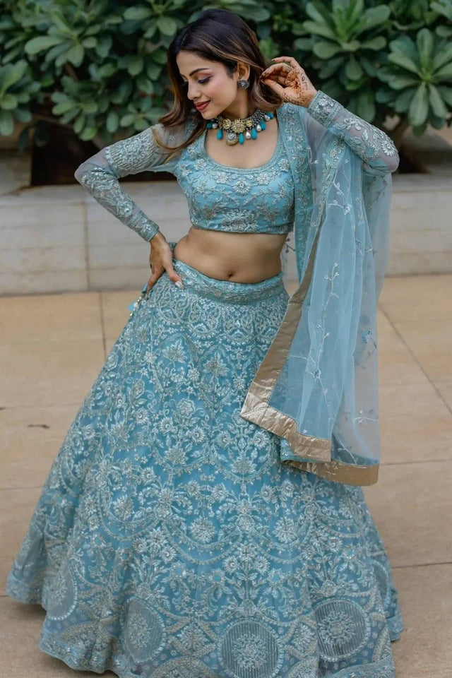 Blue Embroidered Net Lehenga