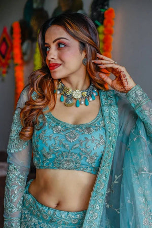 Blue Embroidered Net Lehenga