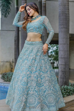 Blue Embroidered Net Lehenga