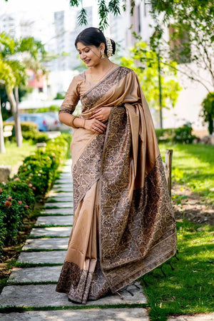 Brown Handloom Raw Silk Weaving Saree