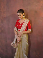 Beige Sequin with Embroidered Silk Saree