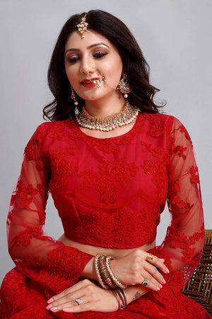 Red Net Embroidered Lehenga Choli