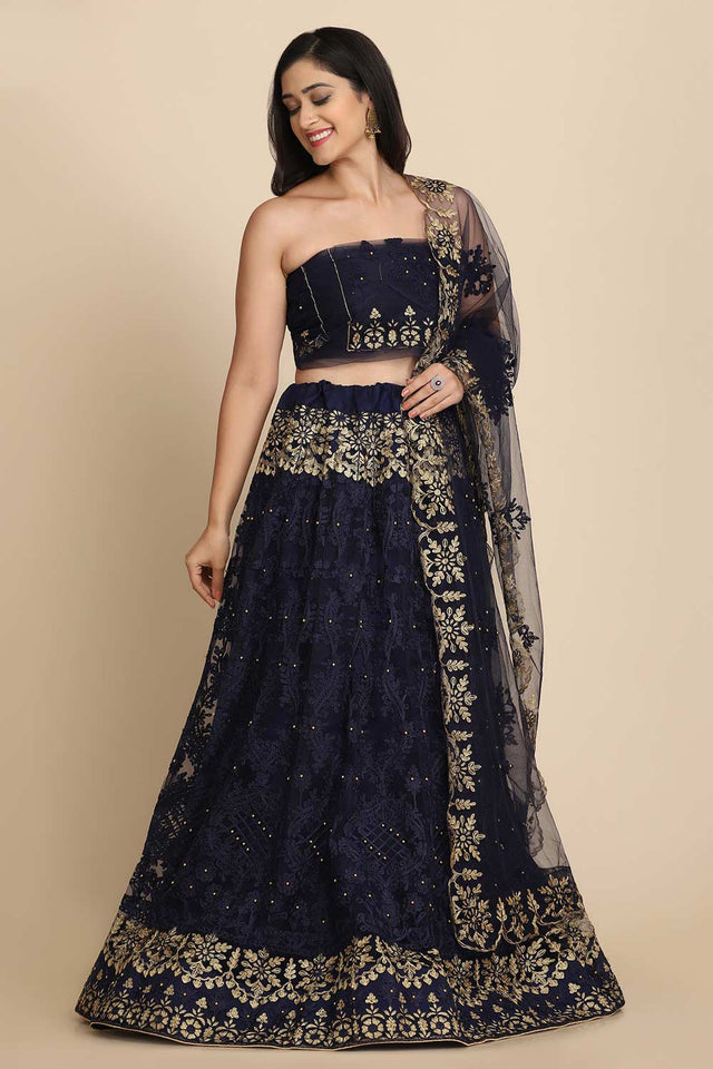 Blue Net Embroidered Lehenga Choli