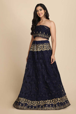 Blue Net Embroidered Lehenga Choli