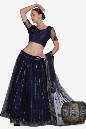Blue Net Embroidered Lehenga Choli