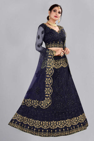 Blue Net Embroidered Lehenga Choli