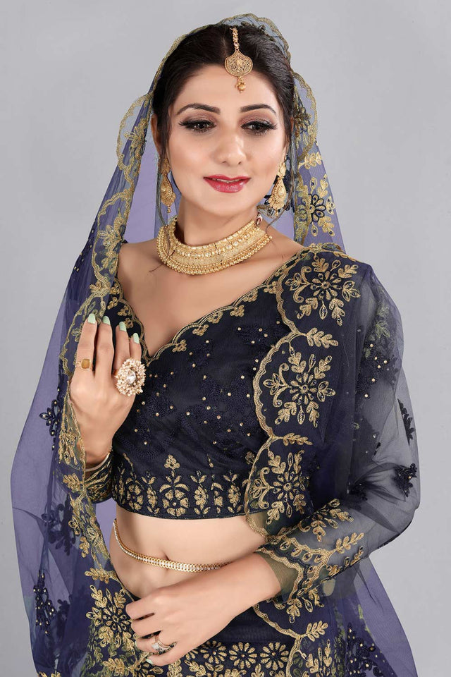 Blue Net Embroidered Lehenga Choli