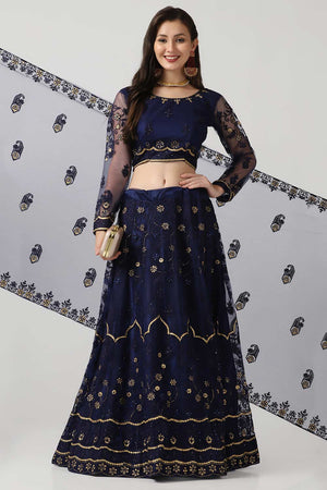 Blue Net Embroidered Work Lehenga Choli