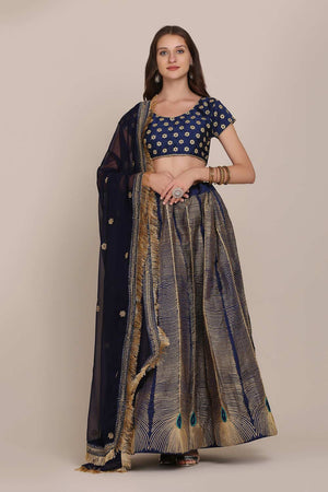 Blue Taffeta Silk Embroidered Lehenga Choli
