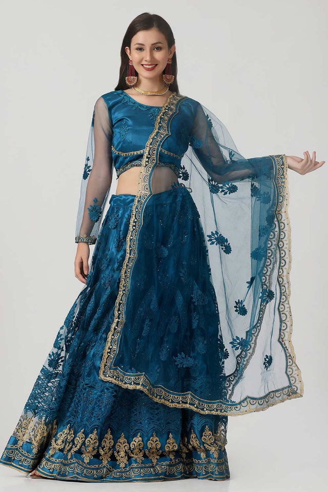 Blue Net Embroidered Work Lehenga Choli